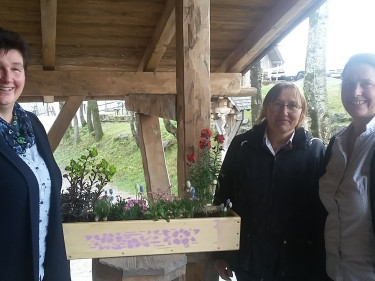 Der insektenfreundliche Blumenkasten der Landfrauen