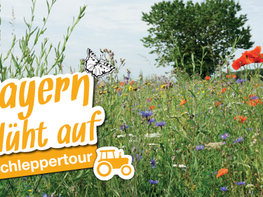 Wiese mit Icon Schleppertour