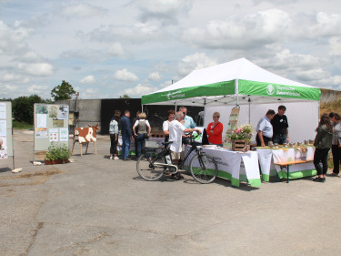 BBV-Stand