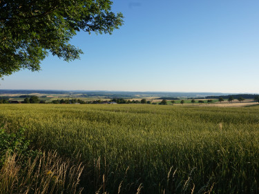 2019-06-29 Flurwanderung Ottowind