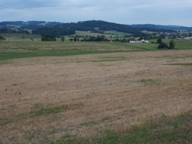 Engerlingschaden