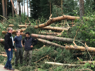 BBV-Bezirkspräsident Günther Felßner begutachtet die Unwetterschäden in einem Wald