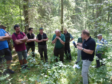 Waldbegang im Kenzengebiet