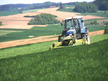 Landschaft mit Grünland und Ackerflächen