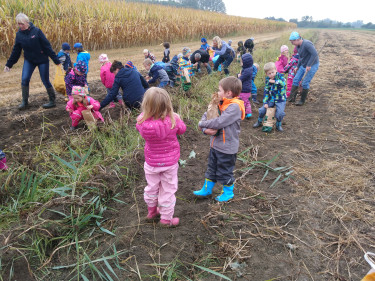 Kindertag-Lauingen-Kugler