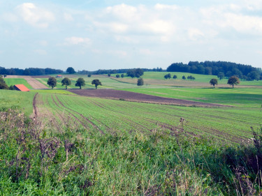Landschaft mit Äckern und Wiesen