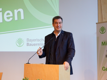 Söder in Herrsching