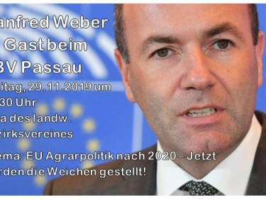 Manfred Weber