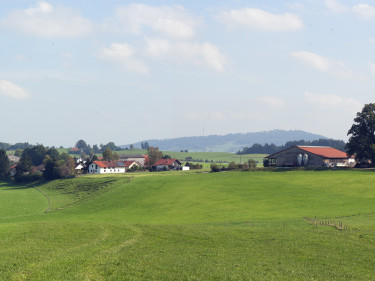 Landschaft