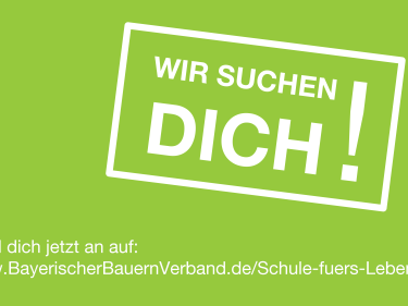 Wir suchen Dich! Alltagskompetenz - Schule fürs Leben
