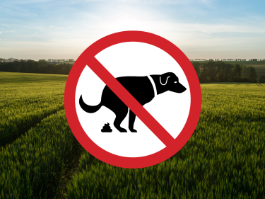Hundekotschilder