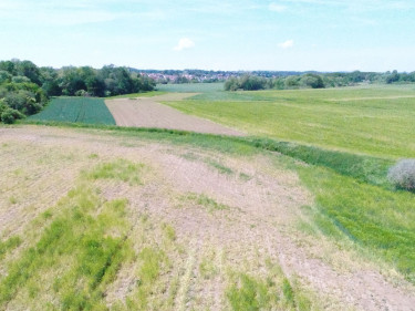 2020-05-11 Wildgänseschaden