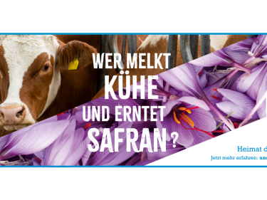 Kühe melken