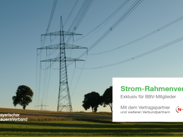 Stromleitungen