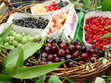 Früchte für leckere Konfitüren und Marmeladen im Sommer