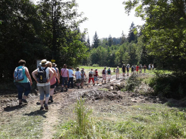 Landwirtschaftsweg Samerberg