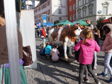 Schüler an der Milchkuh