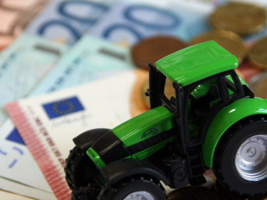 Betroffende landwirtschaftliche Betriebe können finanzielle Hilfsprogramme in Anspruch nehmen. 