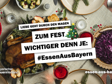 Ein festliches Weihnachtsmenü. 
