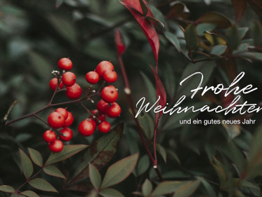 Weihnachtsgrüße des BBV