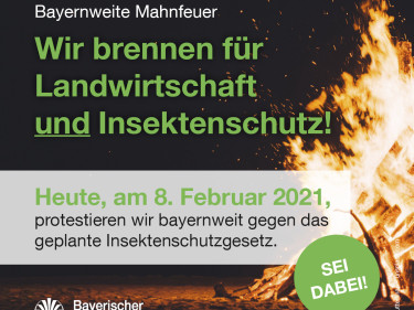 Mahnfeuer Aktion Insektenschutzgesetz
