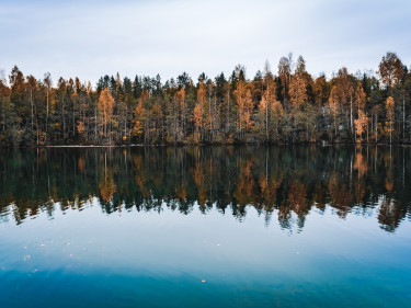 See mit Bäumen im Hintergrund. 