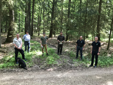 Naturverjüngung als Waldumbau