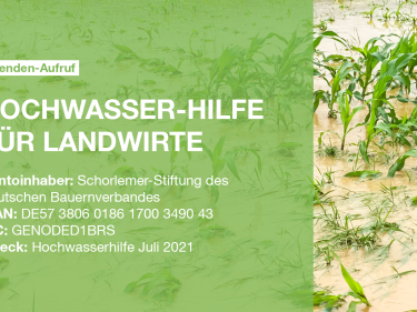 Hochwasser 2021: Spendenaufruf Schorlemer Stiftung