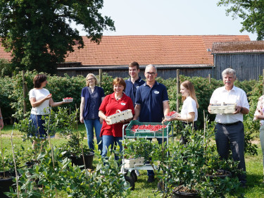 2021-07-29-Die Beeren sind reif