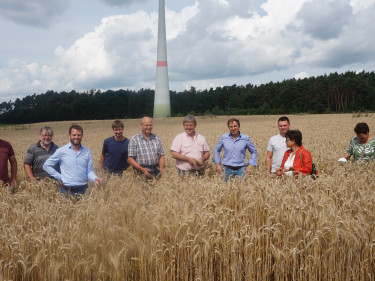 Erntepressegespräch 2021 KV NEA-BW