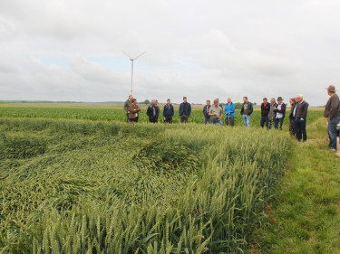 EG Jura Land