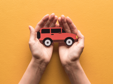 Auto in der Hand