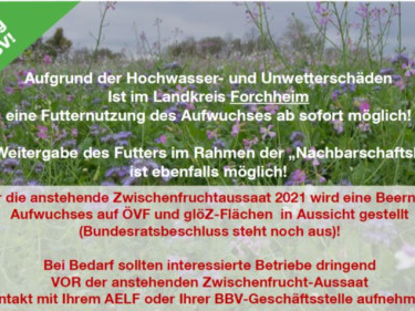 2021-08-12 Forchheim