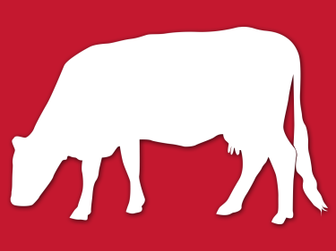 Icon-Kuh.png