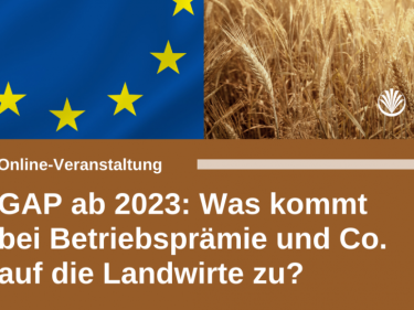 GAP 2023