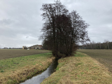 Gewässerrandstreifen