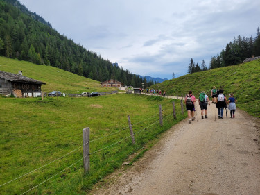 Almwanderung Mordaualm