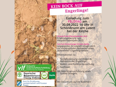 feldtag_frg_vlf.jpg