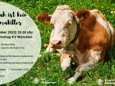 Share Pic - Die kuh ist kein Klimakiller