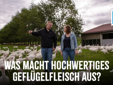 ubb-gefluegel-video