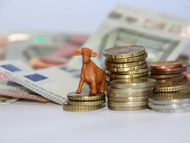 Geld und Kuh