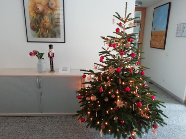 Christbaum Gst In