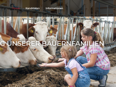 zwei Personen füttern Kühe im Stall