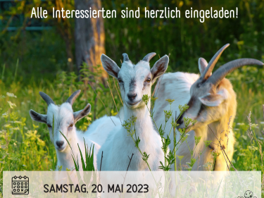 Betriebsbesichtigung Milchziegenbetrieb Piding