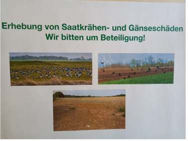 Erhebung Krähen- und Gänseschäden