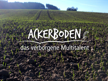 Der Ackerboden