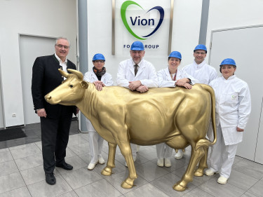 BBV bei Vion