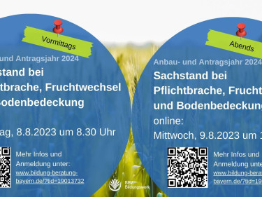 GAP Online Veranstaltungen
