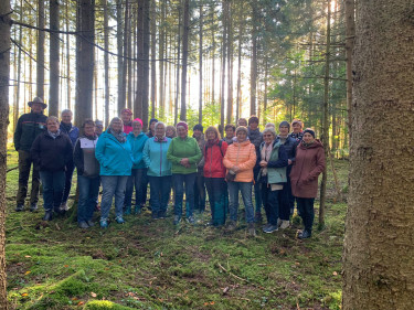 Waldbegehungen im Landkreis Eichstätt
