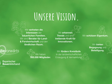 BBV Vision